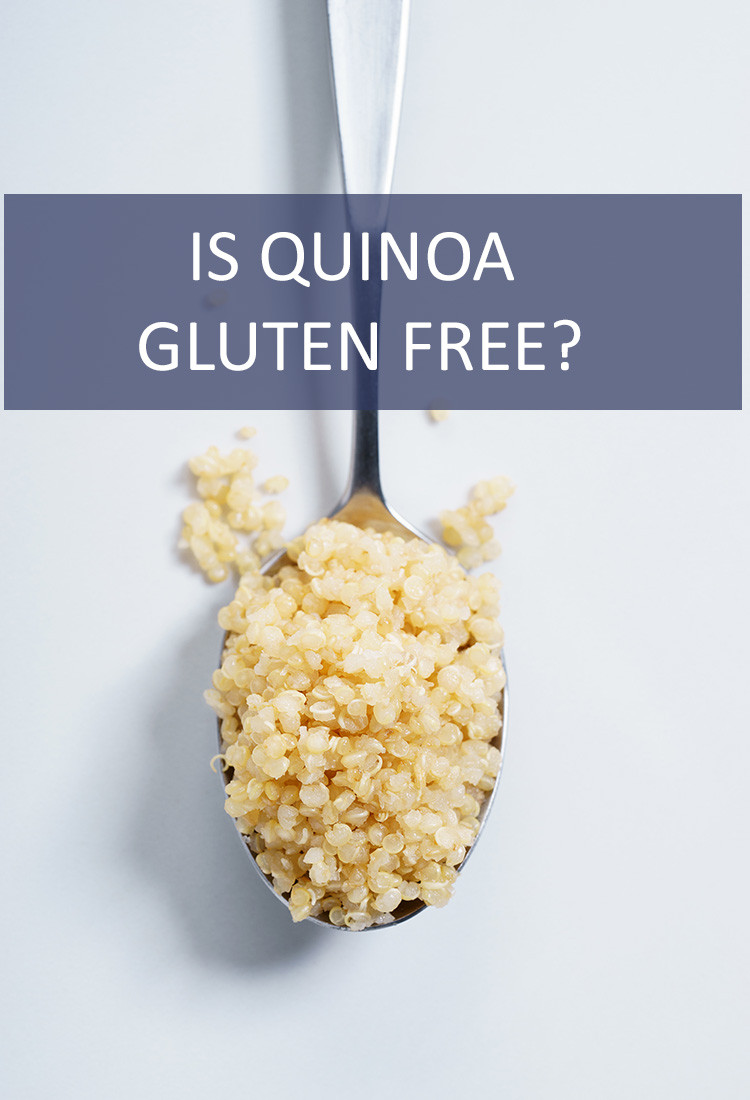 Quinoa Is Gluten Free
 Is Quinoa Gluten Free Is This That Food