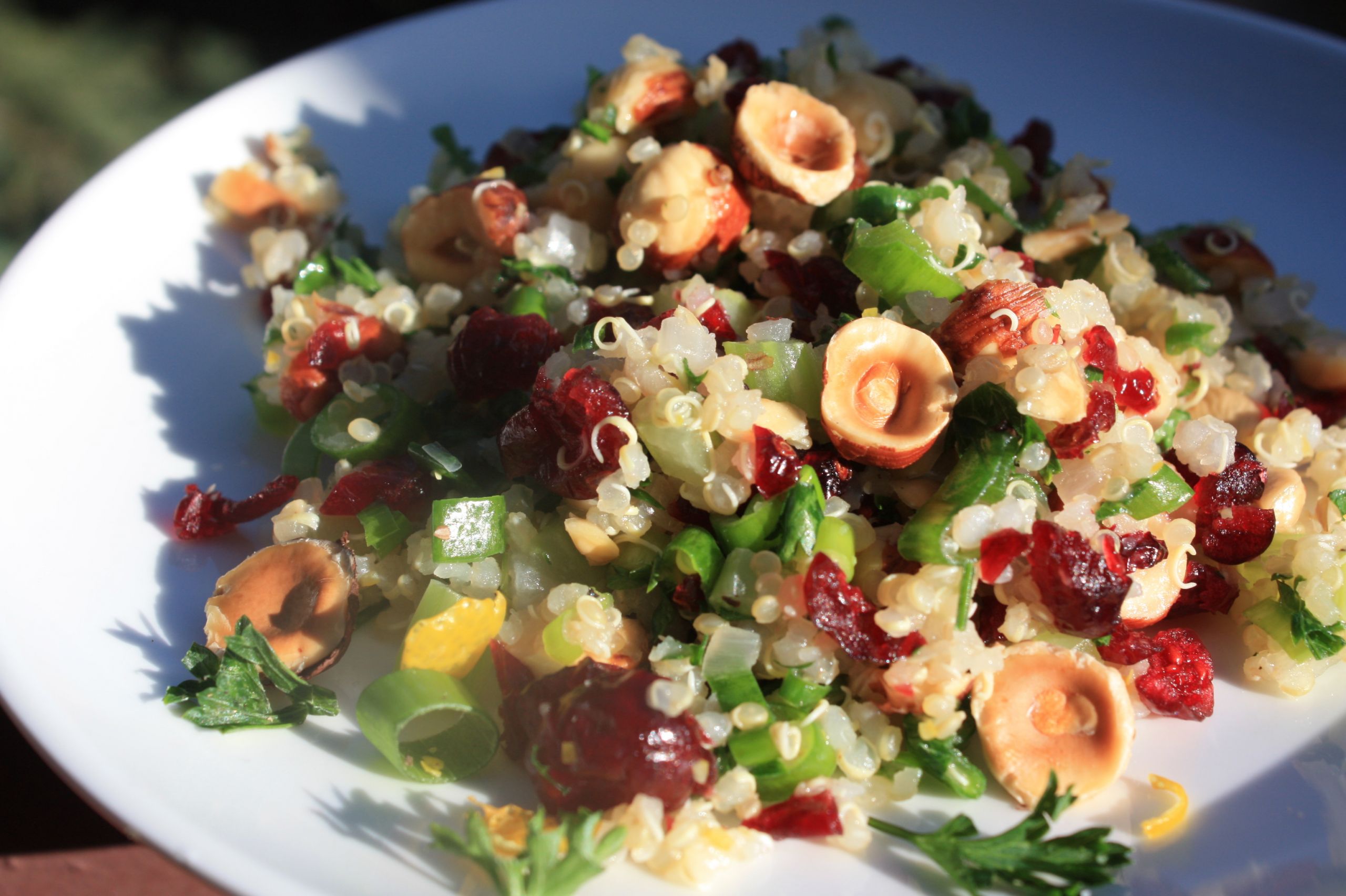 Quinoa Salad Recipes With Dried Cranberries
 Quinoa Salad with Hazelnuts Apple and Dried Cranberries