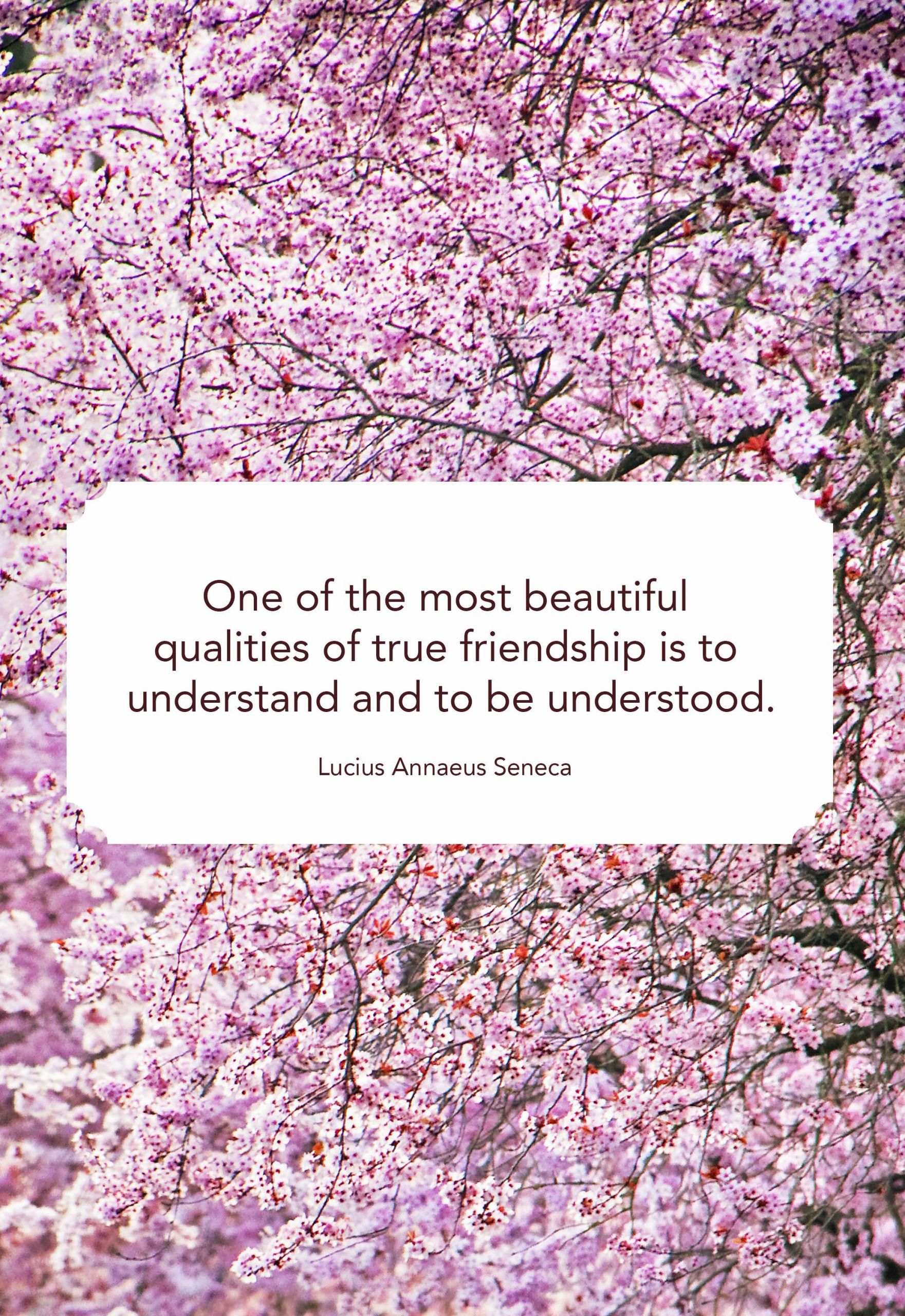 Quote For Good Friendship
 Few lines for a good friend 35 Best Friend Quotes and