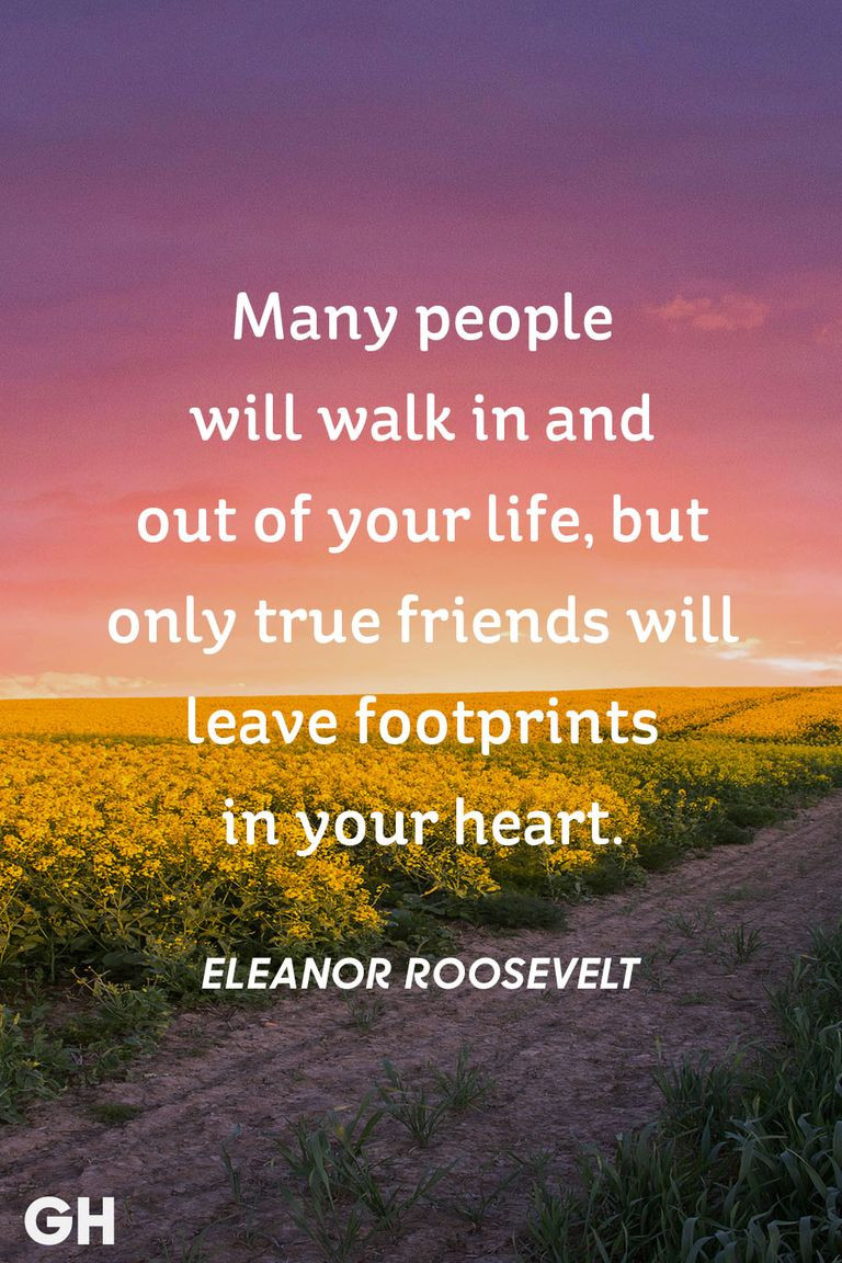 Quote On Friendship
 25 Short Friendship Quotes to With Your Best Friend