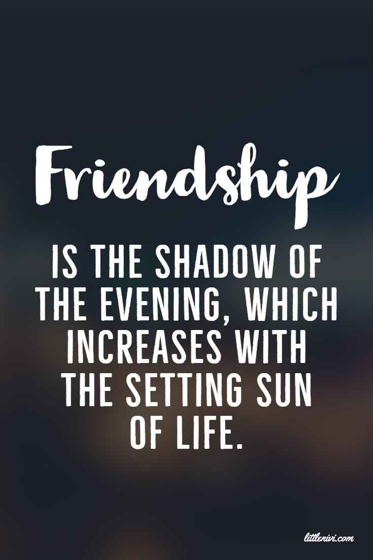 Quote On Friendship
 27 Friendship Quotes That You And Your Best Friends