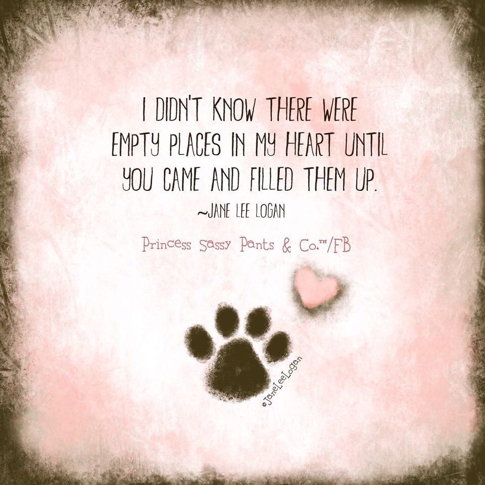 Quotes About Babies And Love
 Love Fur Babies Quotes QuotesGram