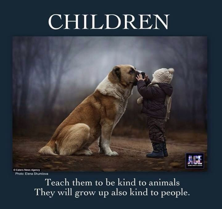 Quotes About Dogs And Kids
 Children Dog Quotes