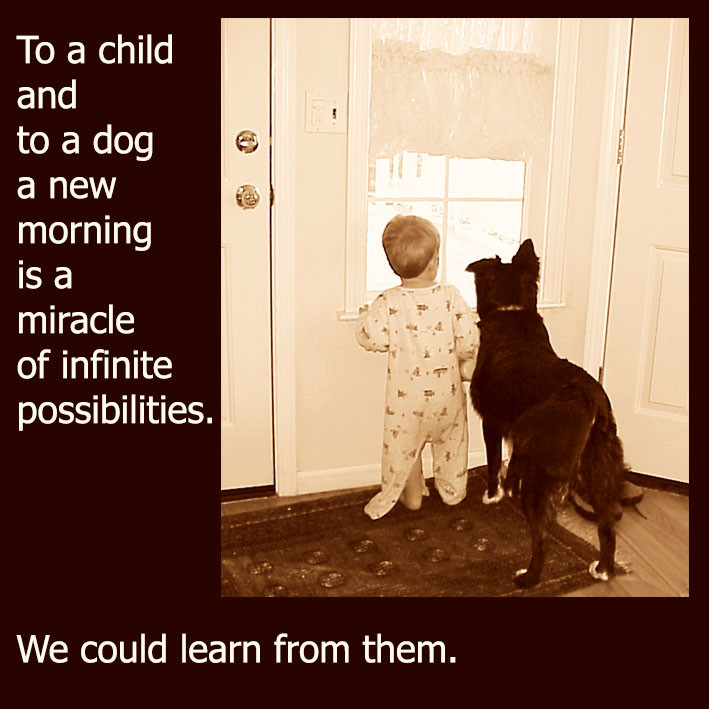 Quotes About Dogs And Kids
 With Dog Quotes
