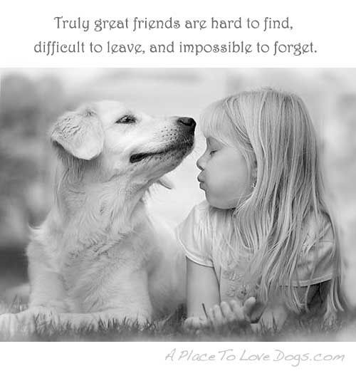 Quotes About Dogs And Kids
 Dog Love a collection of ideas to try about Animals and