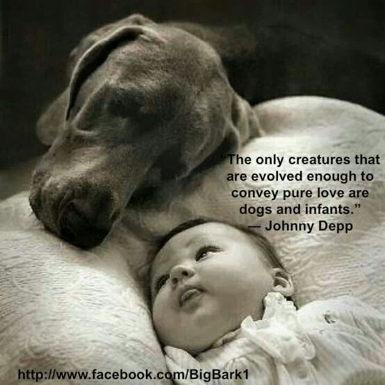 Quotes About Dogs And Kids
 61 Most Amazing Innocence Quotes And Sayings