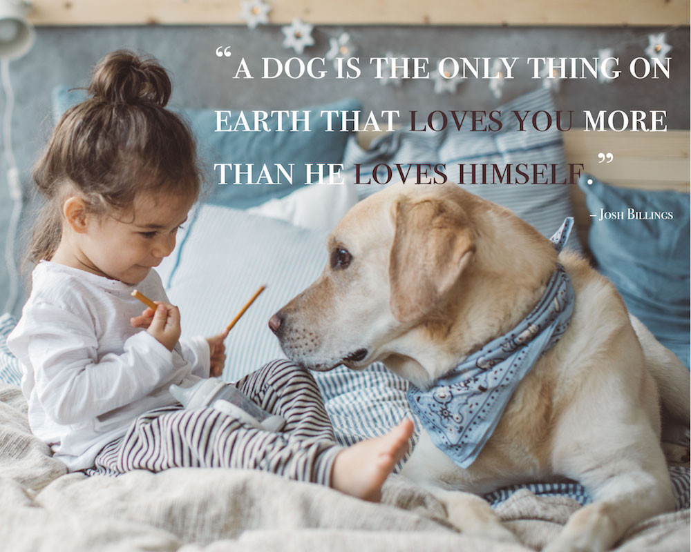Quotes About Dogs And Kids
 80 Dog Quotes Captions and Messages