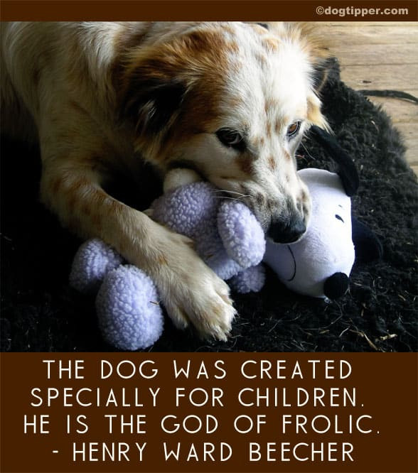 Quotes About Dogs And Kids
 Famous Dog Quotes