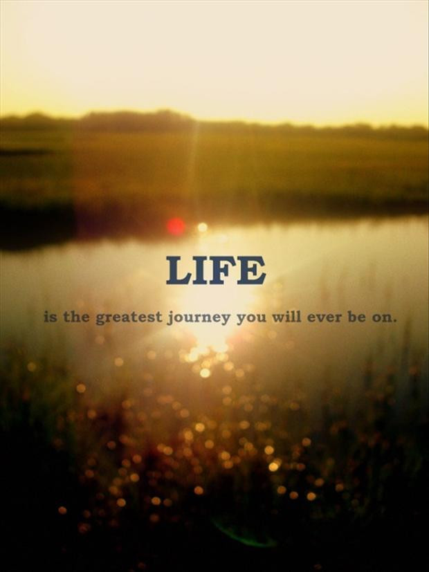 Quotes On Lifes Journey
 30 Cool Collection of Quotes About Life – Design Urge