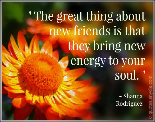 Quotes On New Friendships
 New Friendship Quotes with Image – Quotes and Sayings