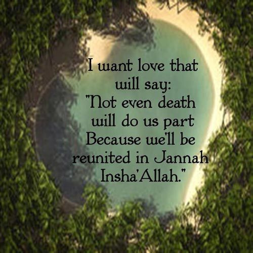 Quran Marriage Quotes
 Love Relationship 70 Islamic Marriage Quotes