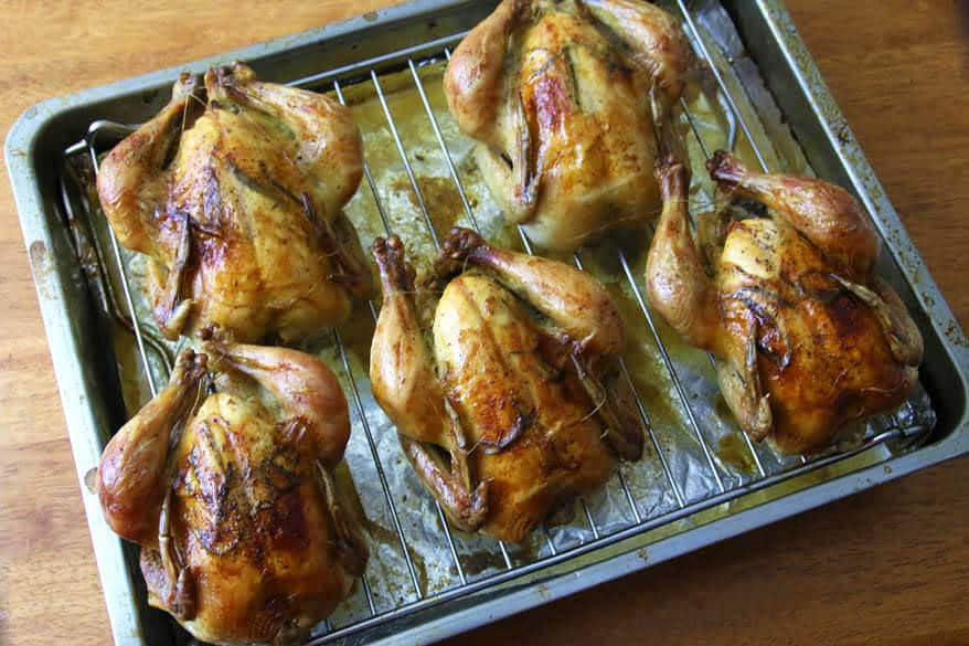 Recipes Cornish Game Hens
 Roasted Cornish Game Hens with Garlic Herbs and Lemon