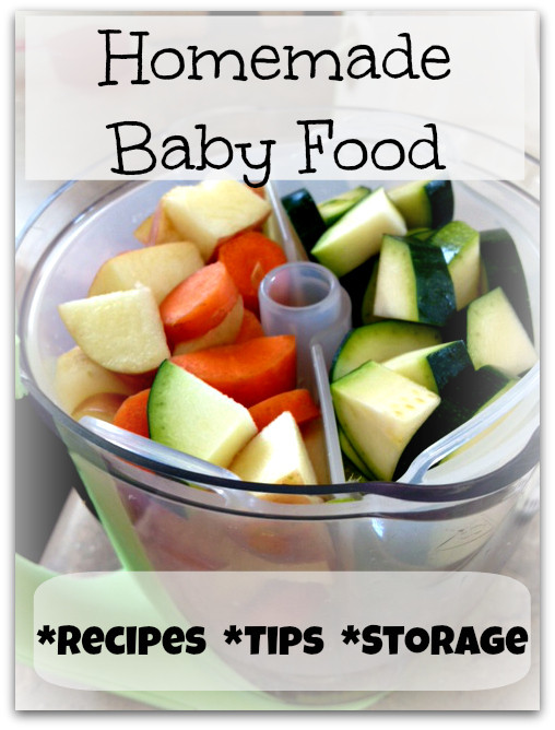 Recipes For Homemade Baby Food
 Homemade Baby Food Recipes & Tips