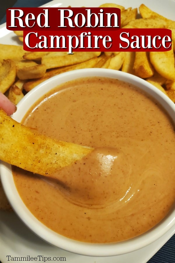 Red Robin Sauces
 Red Robin Campfire Sauce Recipe Video Tammilee Tips