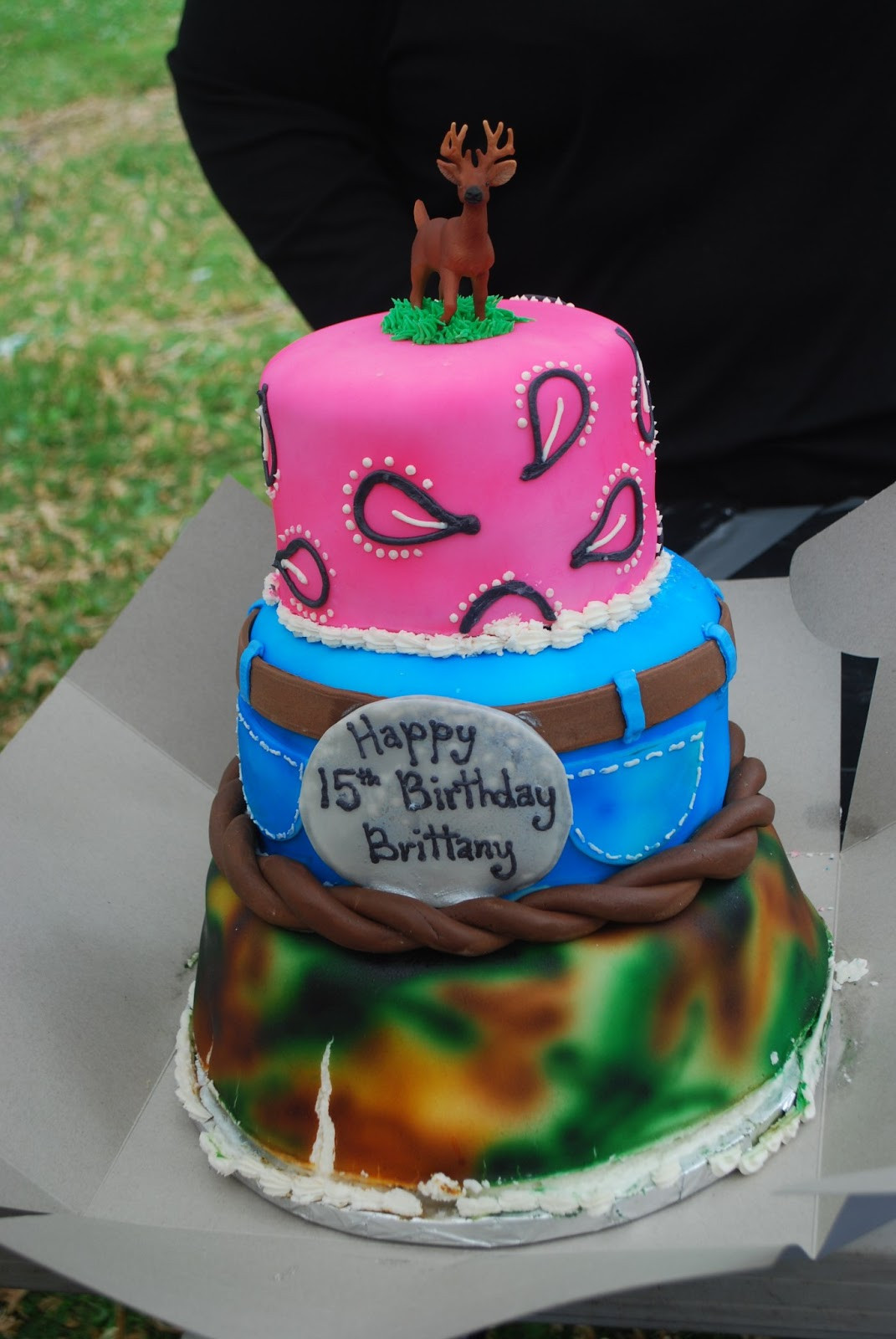 Redneck Birthday Cake
 Sprinkled with Blessings from B s 15th birthday