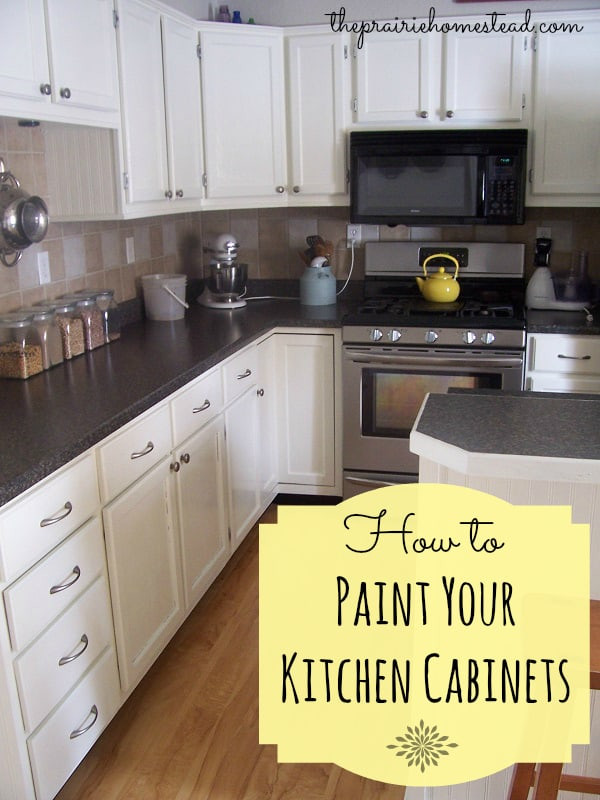 Repaint Bathroom Cabinet
 How to Paint Your Kitchen Cabinets • The Prairie Homestead