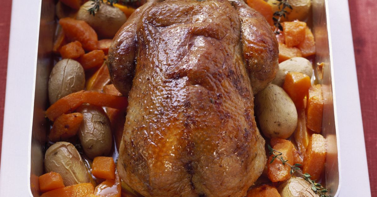 Roast Wild Duck Recipes
 Roast Wild Duck with Ve ables recipe