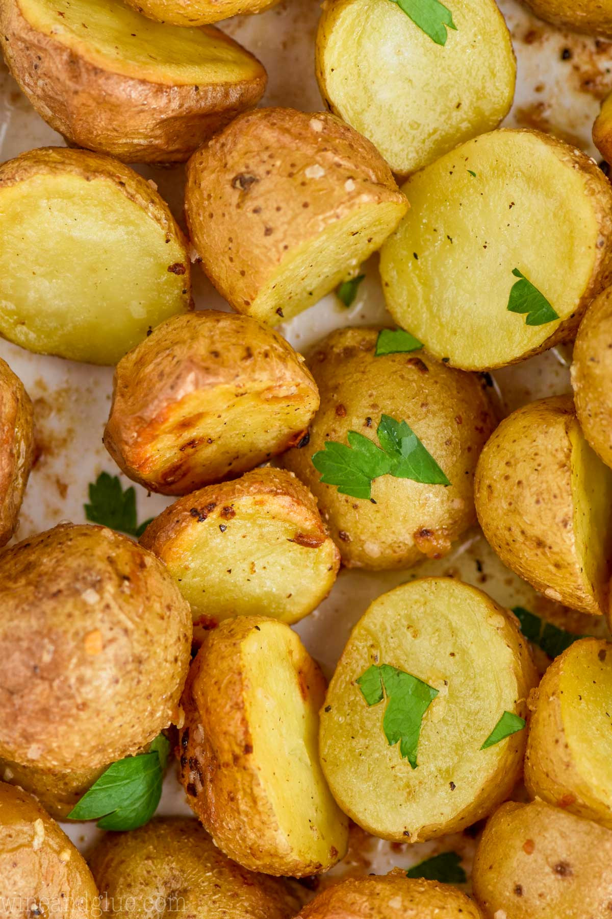 Roasted Baby Potatoes Recipe
 Roasted Baby Potatoes Recipe Wine & Glue