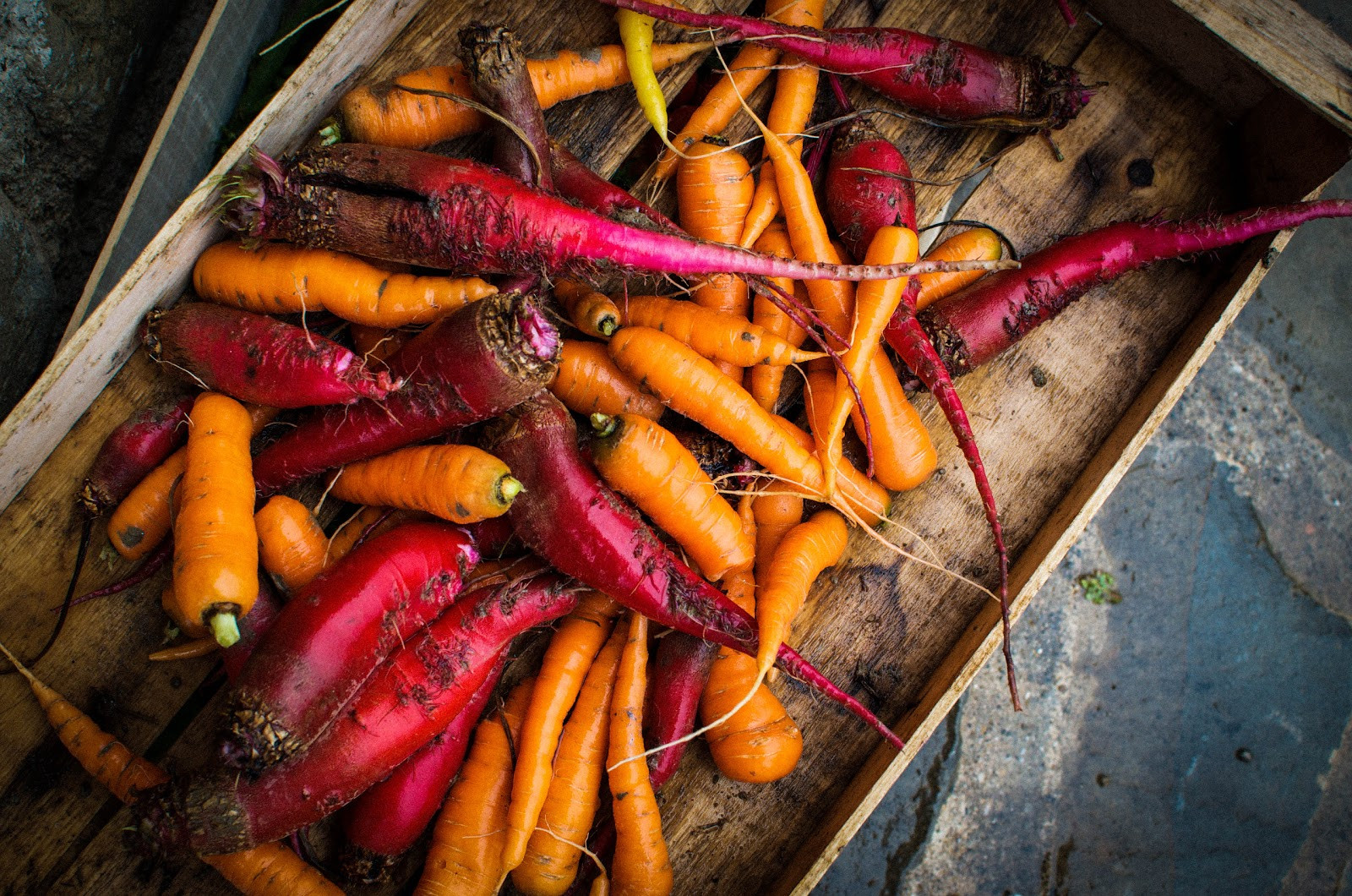 Roasted Root Vegetables Beets
 La Tavola Marche Recipe Box Roasted Root Ve ables