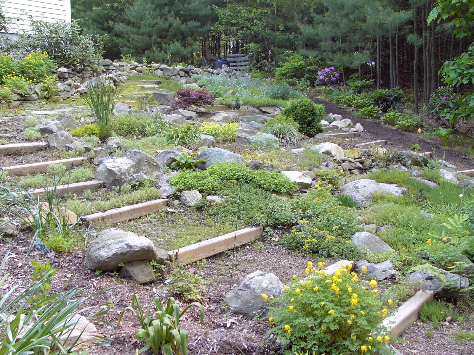 Rock Landscape Design
 The Principal Undergardener Uncovering the Rock Garden