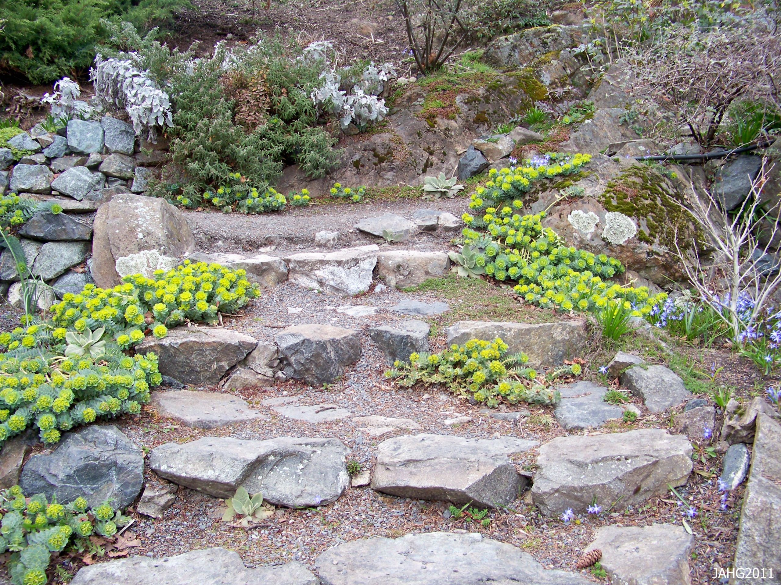 Rock Terrace Landscape
 March 2011