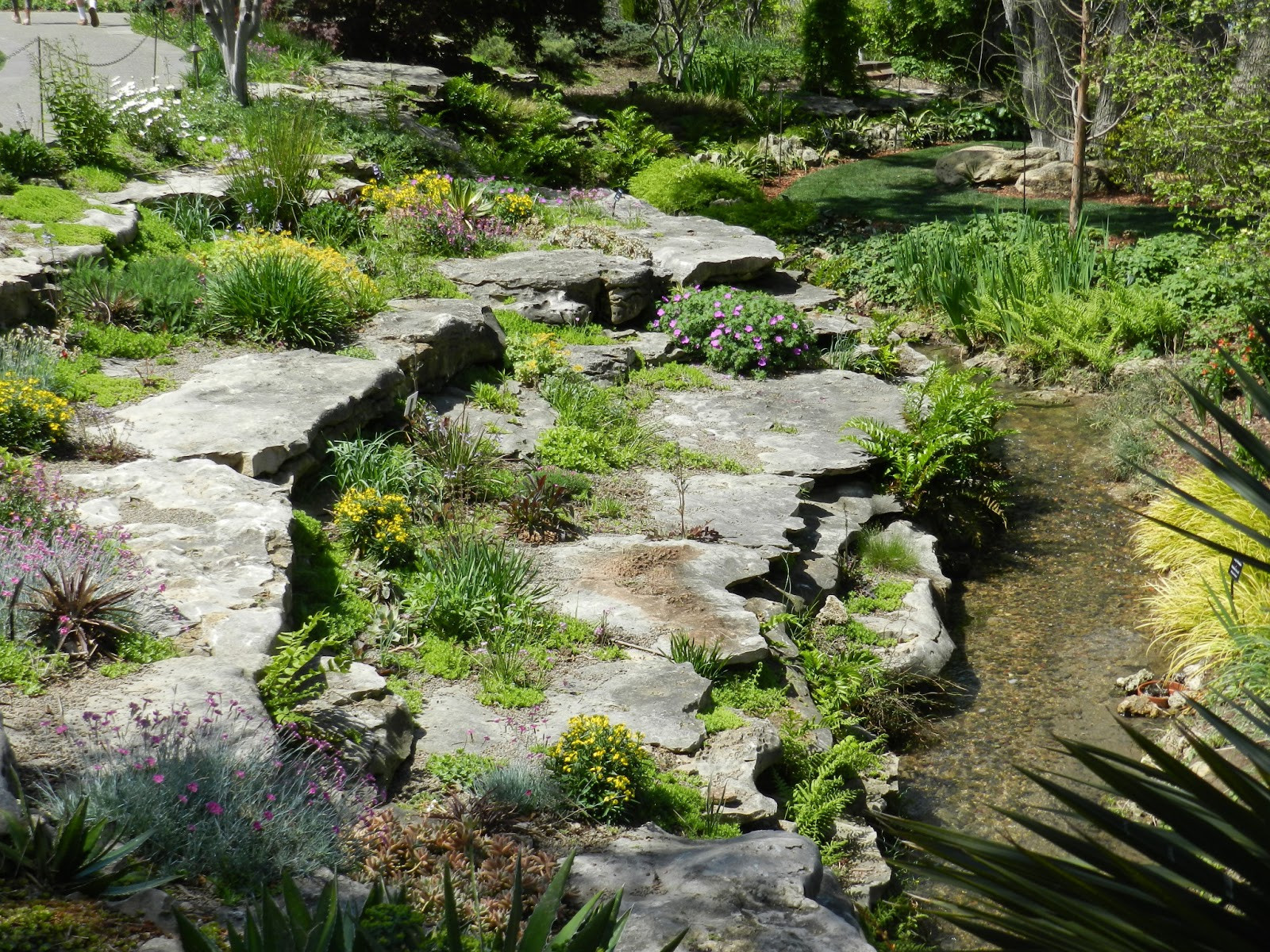 Rock Terrace Landscape
 Prairie Rose s Garden Tulipmania at the Dallas Arboretum