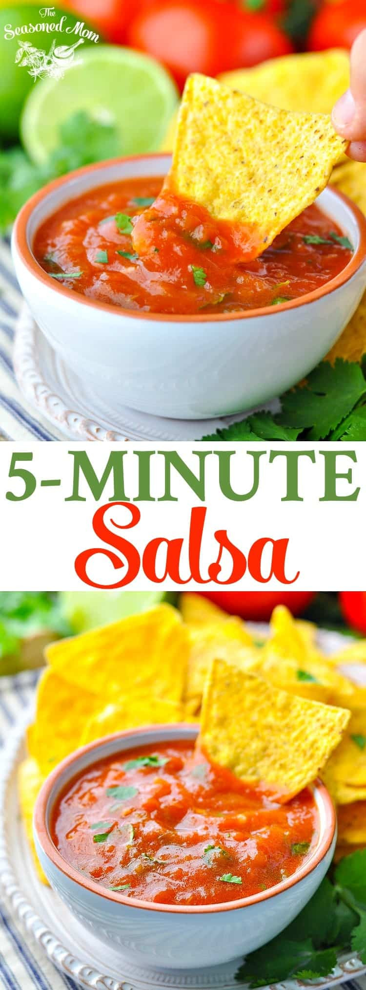 Salsa Dip Recipe
 Fresh 5 Minute Homemade Salsa The Seasoned Mom