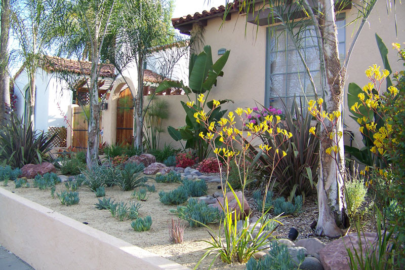 San Diego Landscape Design
 Xeriscape Plants San Diego Water wise Landscape Gardening