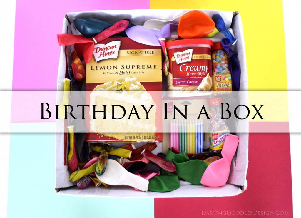 Send A Birthday Gift
 Sending a Birthday in a Box Darling Doodles