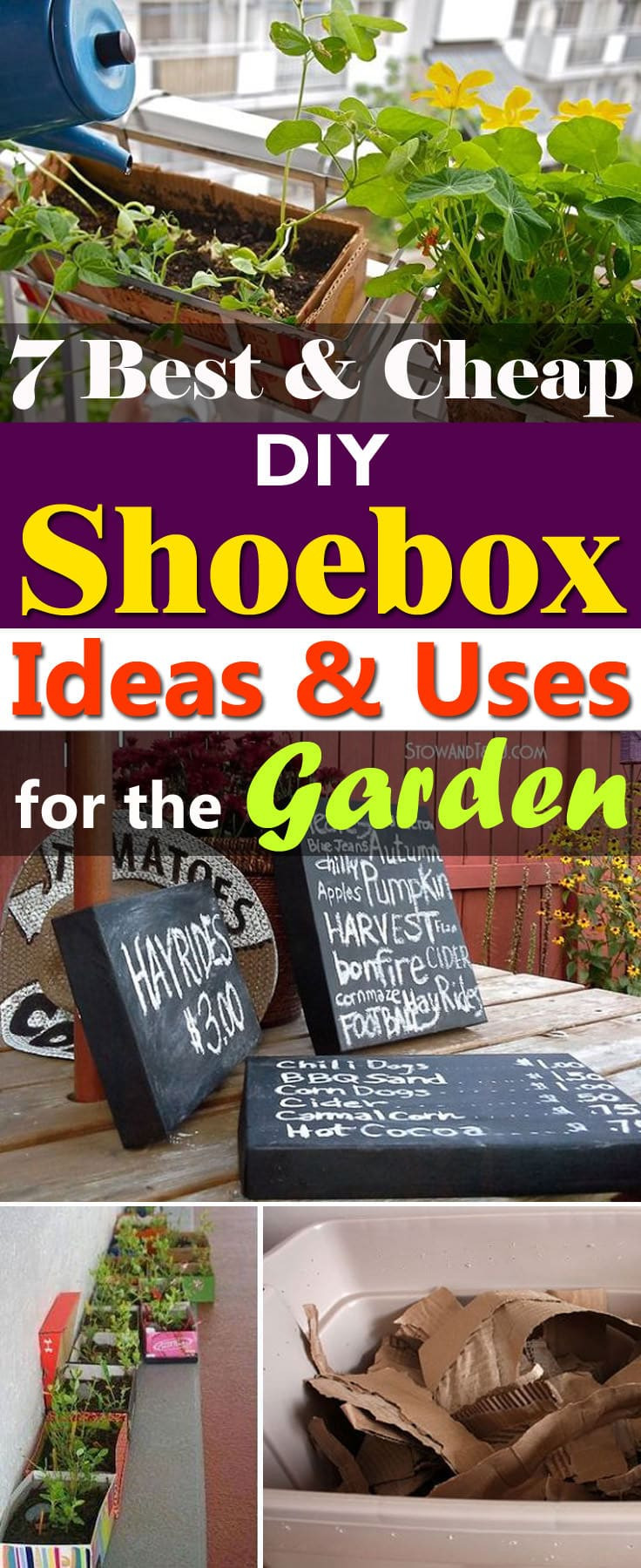 Shoes Box DIY
 7 Best DIY Shoe box Ideas & Uses For The Garden