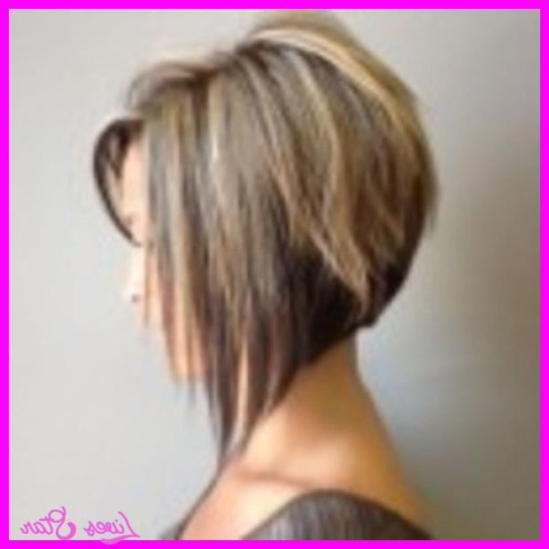 Short In The Back Long In The Front Hairstyles
 Important Concept 15 Bob Hairstyle Short In Back Long In