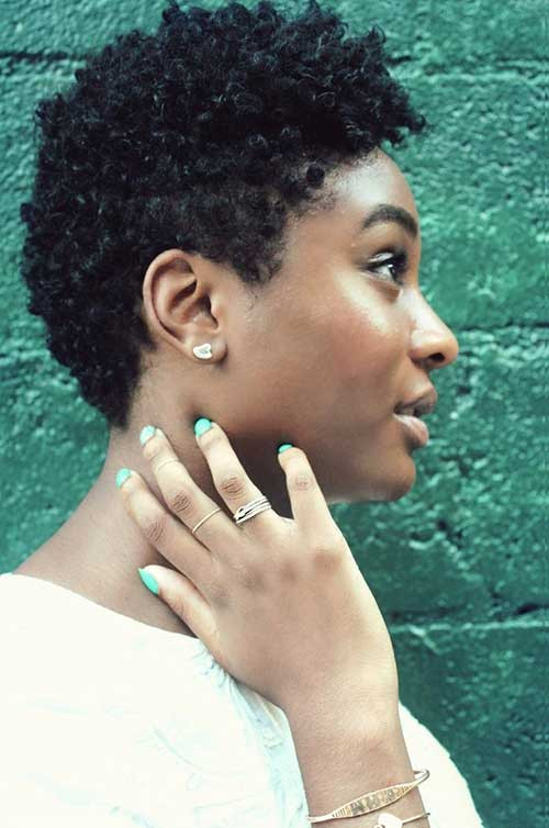 Short Natural Hairstyles For African American Women
 Good Natural Black Short Hairstyles