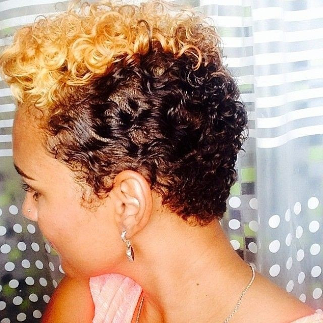 Short Natural Hairstyles For African American Women
 55 Winning Short Hairstyles for Black Women