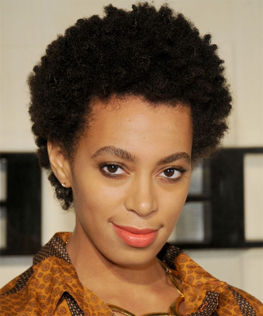 Short Natural Hairstyles For African American Women
 Natural Hairstyles 16 Short Natural Hairstyles You Will