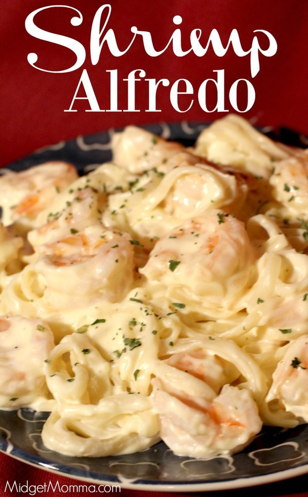 Shrimp Pasta With Alfredo Sauce
 Shrimp Alfredo Recipe With Homemade Alfredo Sauce