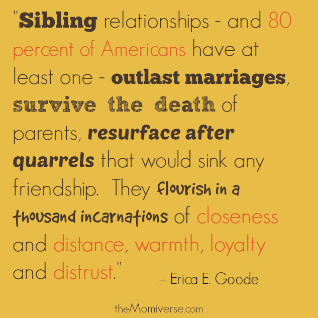 Sibling Relationships Quotes
 The idiosyncrasies of siblings Things only siblings