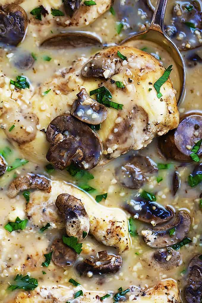 Slow Cooker Chicken Marsala Cream Mushroom Soup
 Slow Cooker Chicken Recipes The 36th AVENUE
