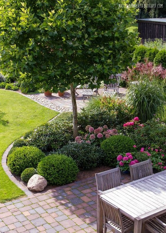 Small Backyard Trees
 33 Best Trees For Small Gardens That Won t Limit Your