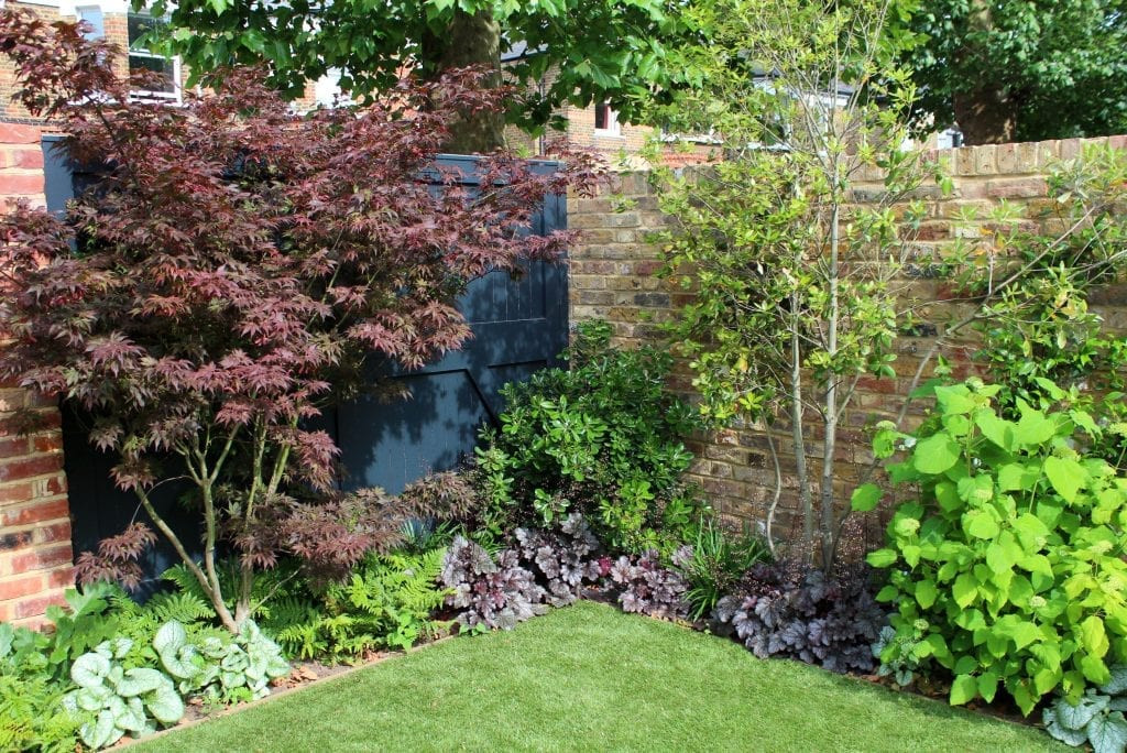 Small Backyard Trees
 Top 10 best trees for small gardens Living Colour Gardens