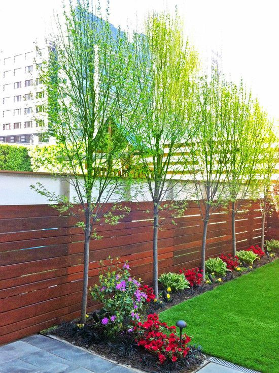 Small Backyard Trees
 30 Small Backyard Ideas — RenoGuide Australian