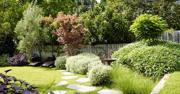 Small Backyard Trees
 10 trees to plant in backyards big or small