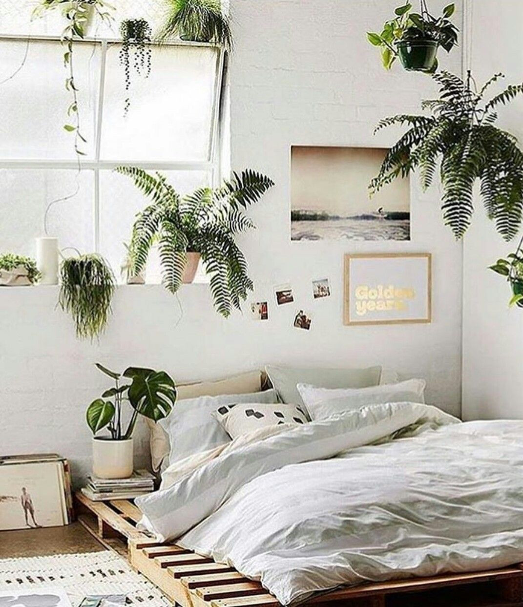 Small Plants For Bedroom
 Home JulesJetsets