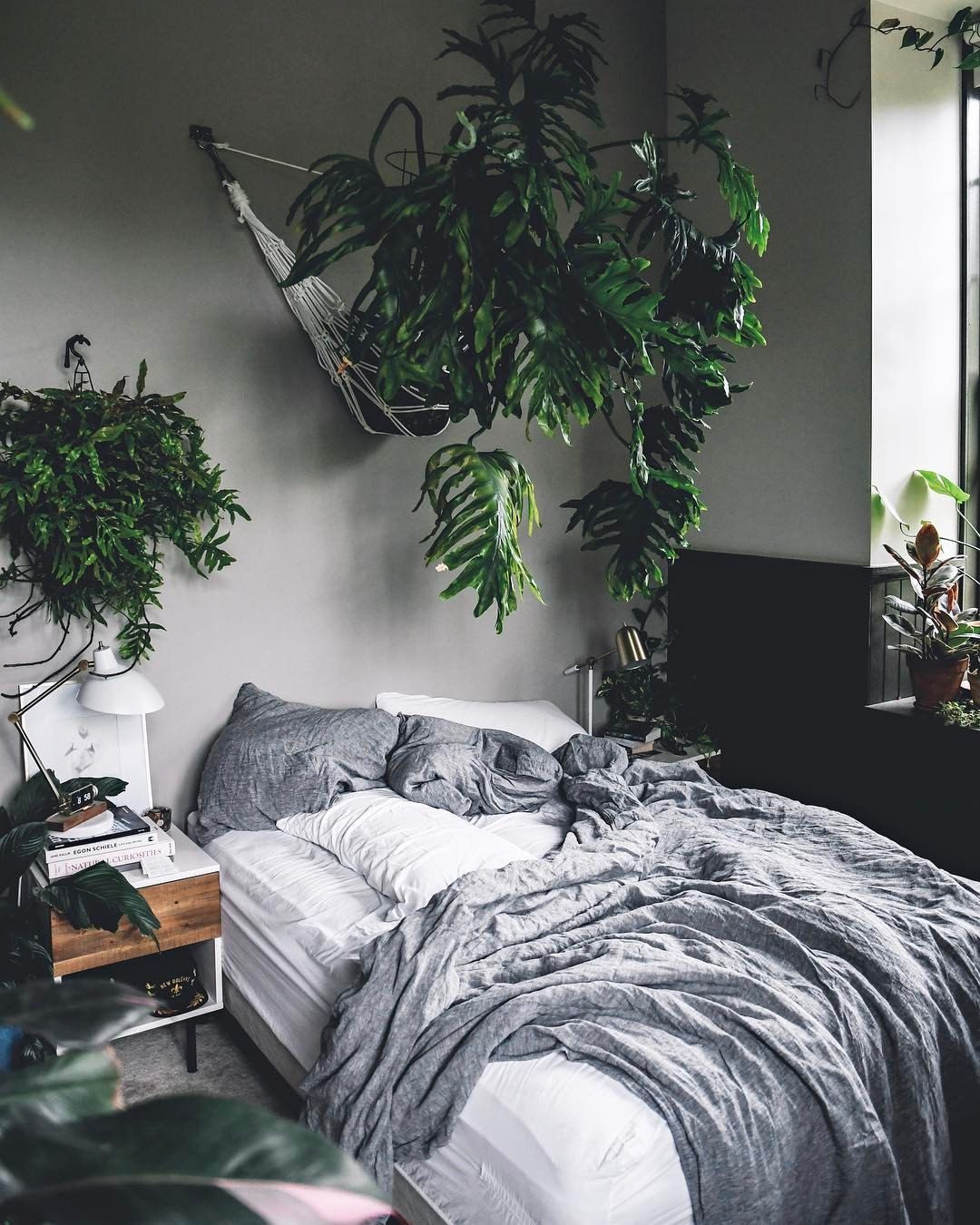 Small Plants For Bedroom
 98 Easy Houseplants For Indoor Plants