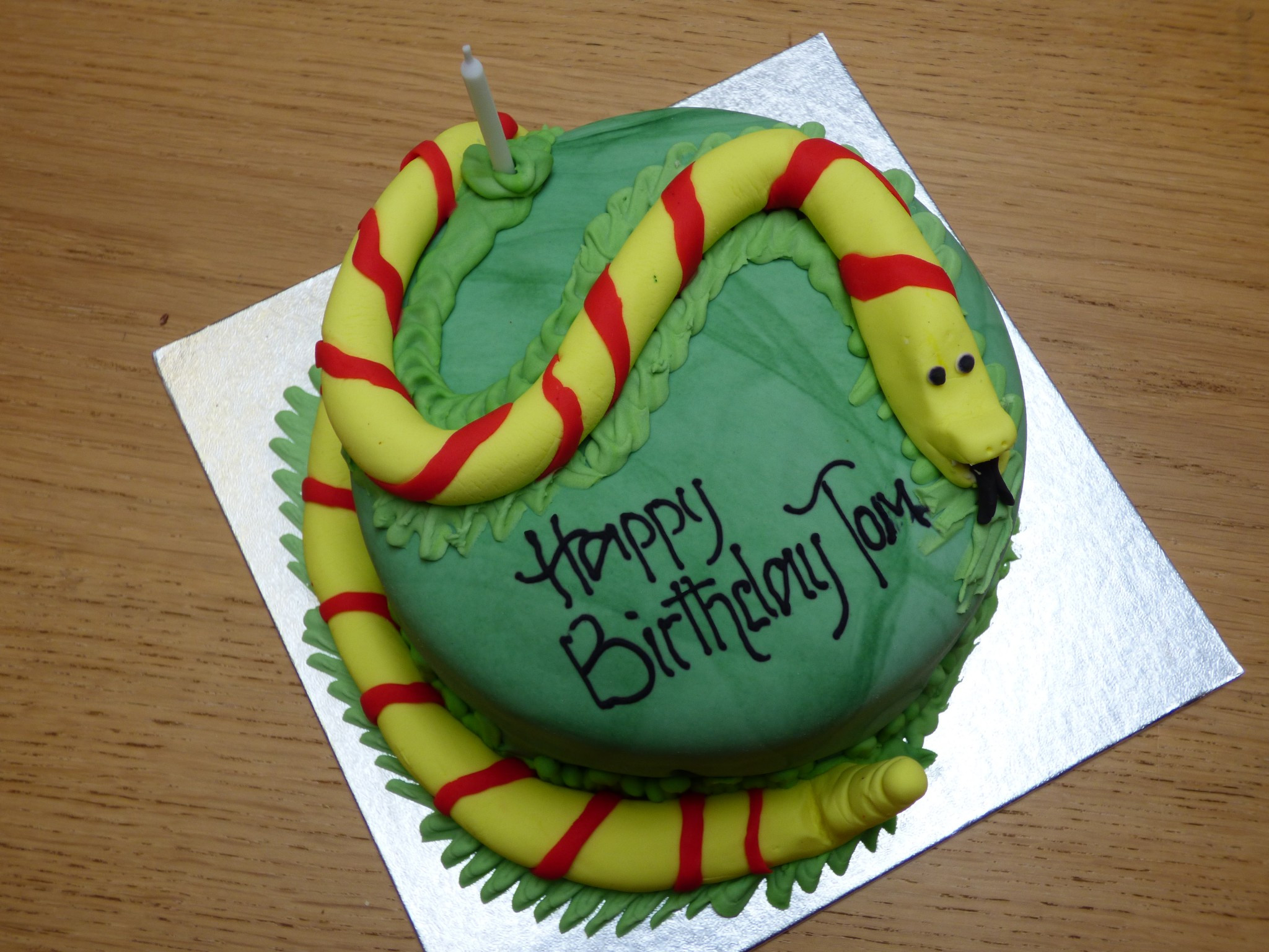 Snake Birthday Cake
 Go Wild Party Dudley Zoological Gardens