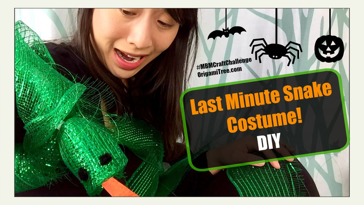 Snake Costume DIY
 Halloween Crafts DIY Last Minute Halloween Costume Snake