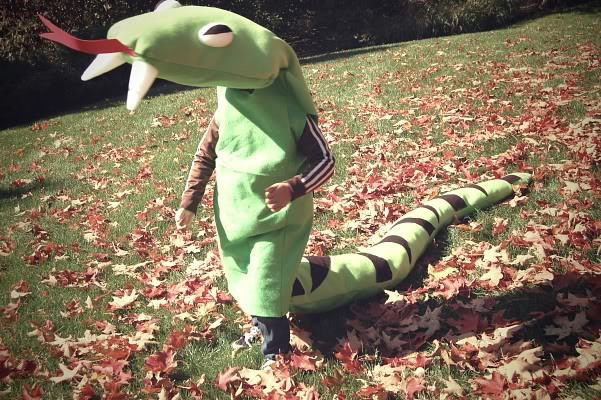 Snake Costume DIY
 Cutest Handmade Halloween Costumes for Kids