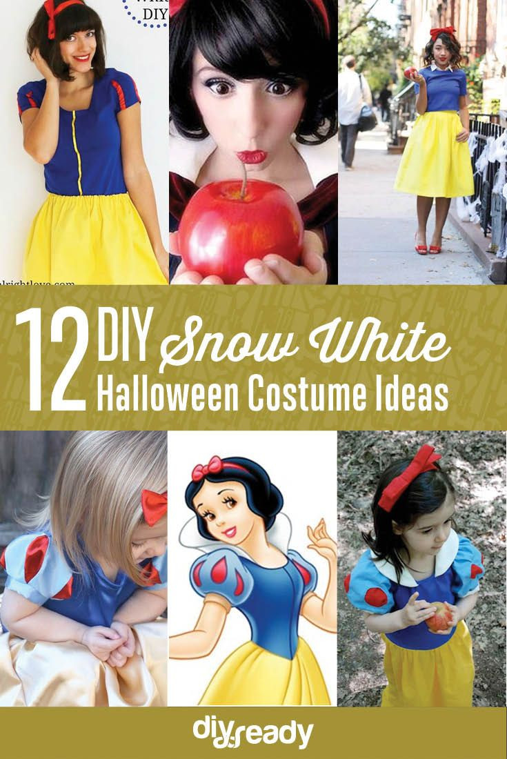 Snow White Costume Adults DIY
 Snow White Costume Ideas For Halloween