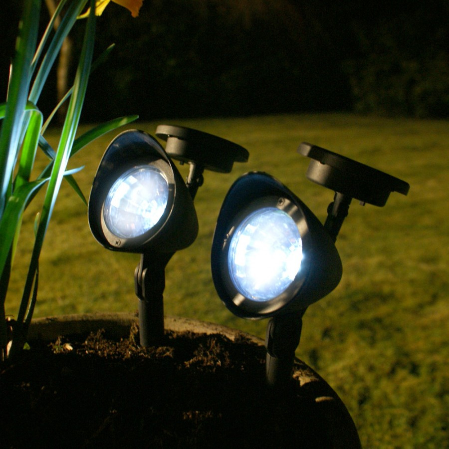 Solar Backyard Lights
 Solar Lighting for Your Garden