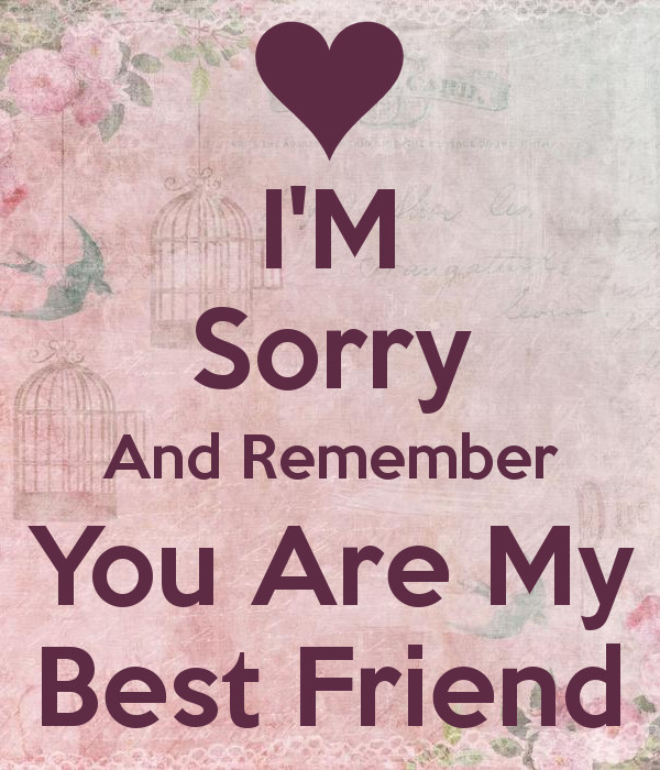 Sorry Quotes For Friendship
 Quotes about Sorry best friend 16 quotes