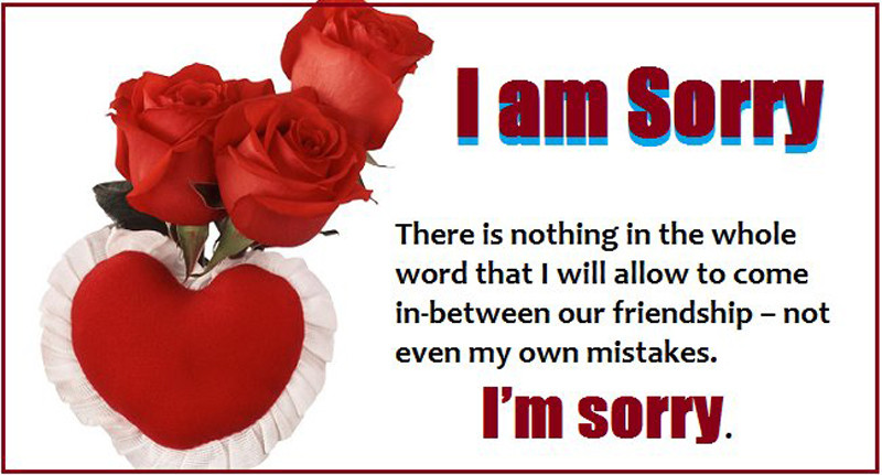 Sorry Quotes For Friendship
 Sorry Messages for Friends Apology Quotes WishesMsg